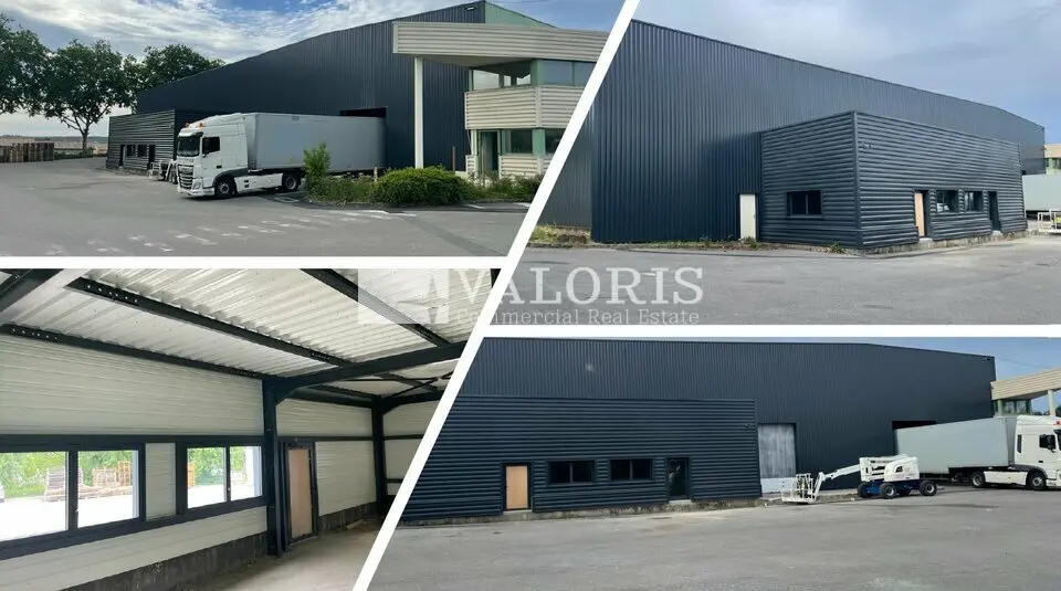 A louer Locaux d'activité 2200m² Belleville