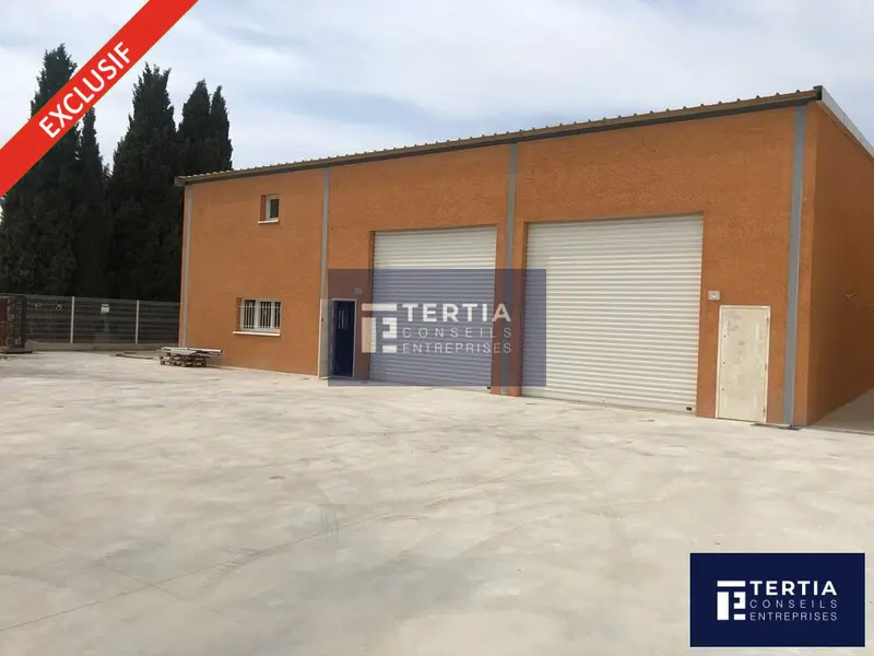 Entrepôt / Activité à louer - Lunel-Viel (34400) - 450 m² - 3 500 €/mois