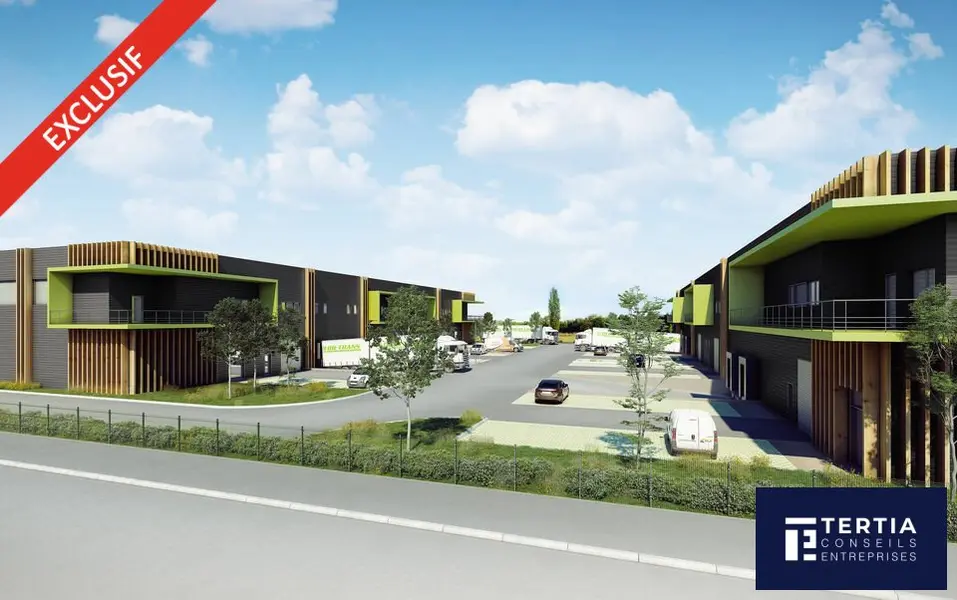 Entrepôt / Activité à louer - Mauguio (34130) - 7162 m² - 65 651 €/mois