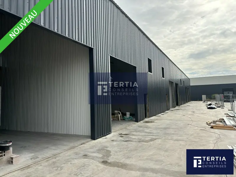 MONTPELLIER EST -  LOCAUX D ACTIVITES NEUFS DIVISBLES A LOUER 