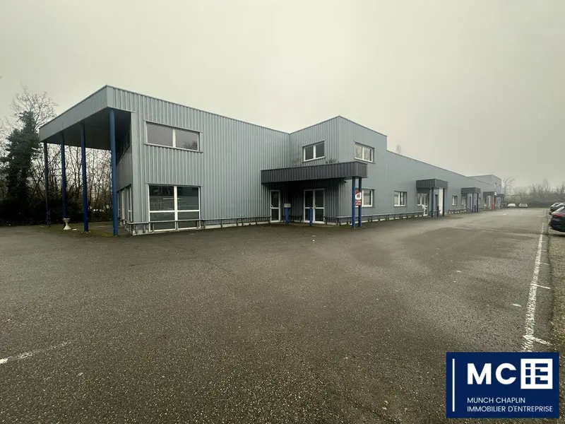 Entrepôt / Activité à louer - Geispolsheim (67118) - 740 m² - 5 416 €/mois