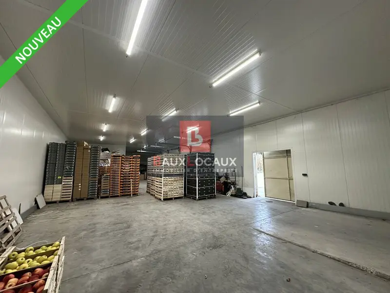Entrepôt / Activité à vendre - Noves (13550) - 1750 m²