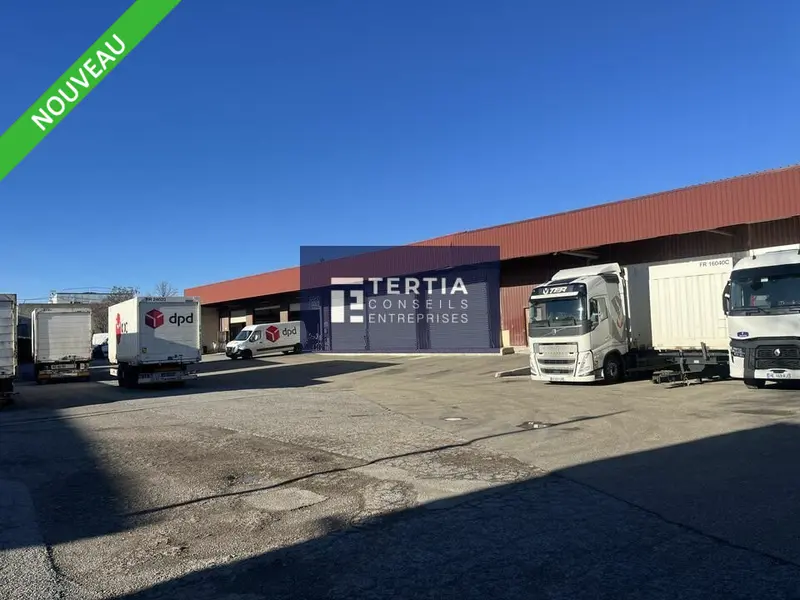 Entrepôt / Activité à louer - Mauguio (34130) - 2096 m² - 17 500 €/mois