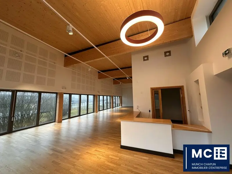 Bureau à vendre - Monswiller (67700) - 505 m²