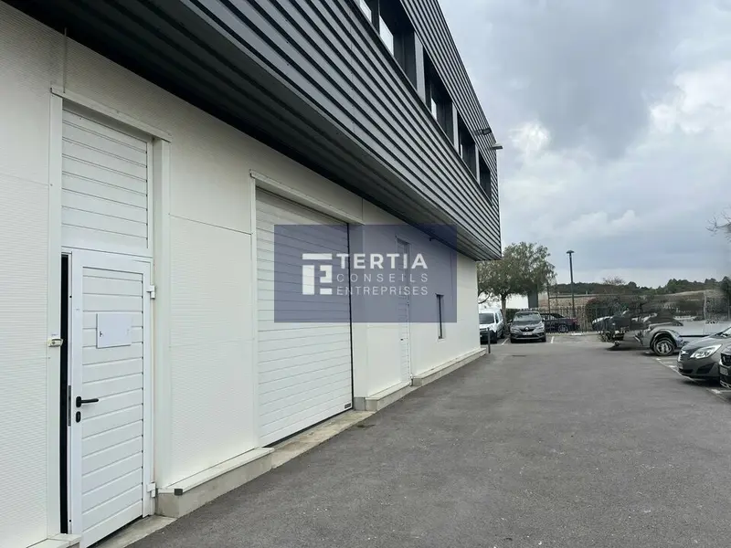 Entrepôt / Activité à louer - Vendargues (34740) - 190 m² - 1 850 €/mois