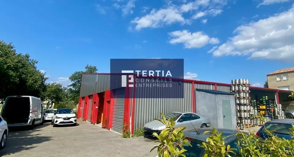 Entrepôt / Activité à louer - Saint-Georges-D'Orques (34680) - 110 m² - 1 008...