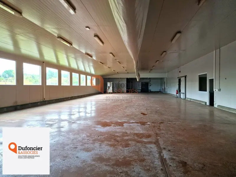 Entrepôt / Activité à vendre - Mignaloux-Beauvoir (86550) - 3243 m²