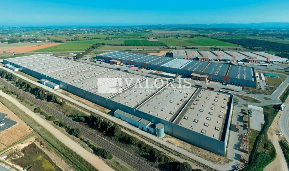 A louer Entrepôt 5531m² Saint-Martin-de-Crau