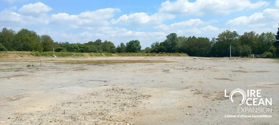 Terrain à vendre - Vigneux-De-Bretagne (44360) - 19216 m²