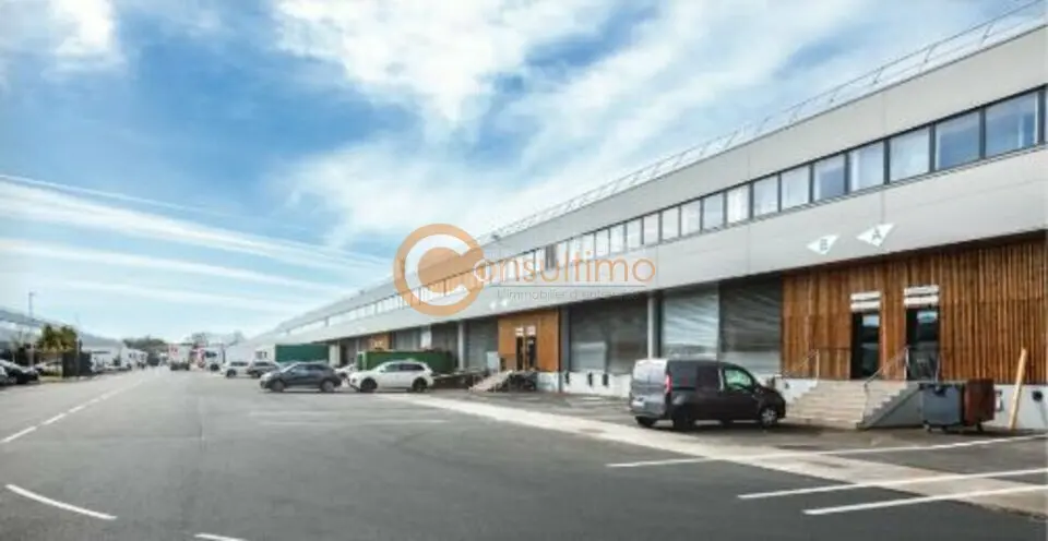 Entrepôt / Activité à louer - Cissac-Médoc (33250) - 1850 m² - 10 020 €/mois
