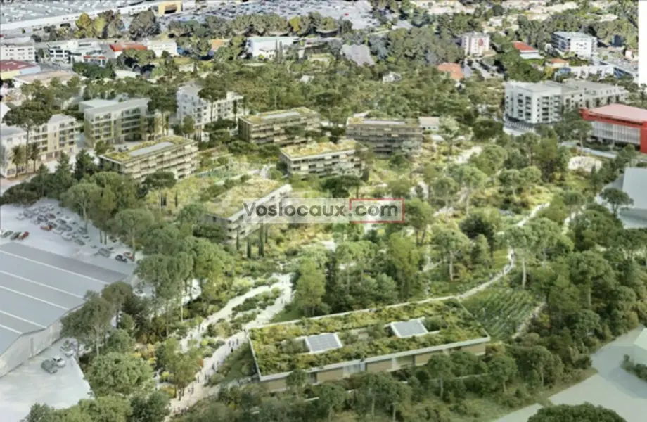 Bureau à louer - Antibes (06600) - 257 m² - 3 855 €/mois