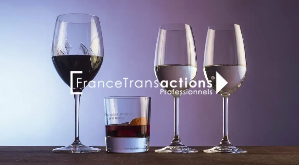 toulouse centre A céder bar licence 4